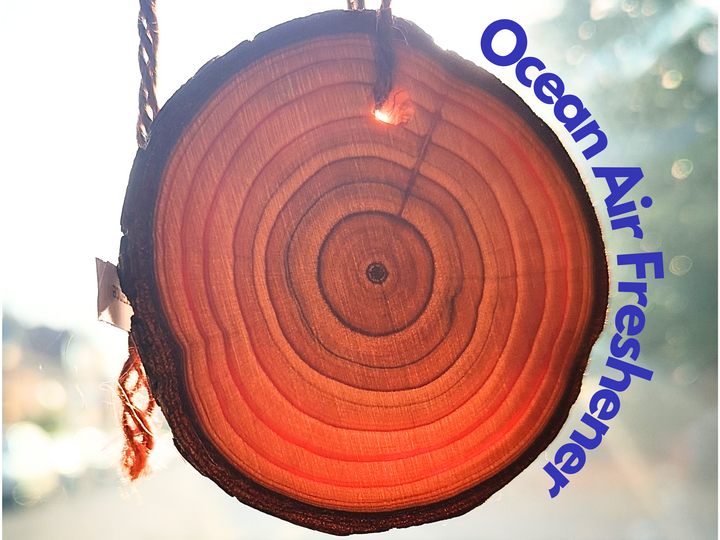 Ocean Car Air Freshener – Fresh & Aquatic Scent