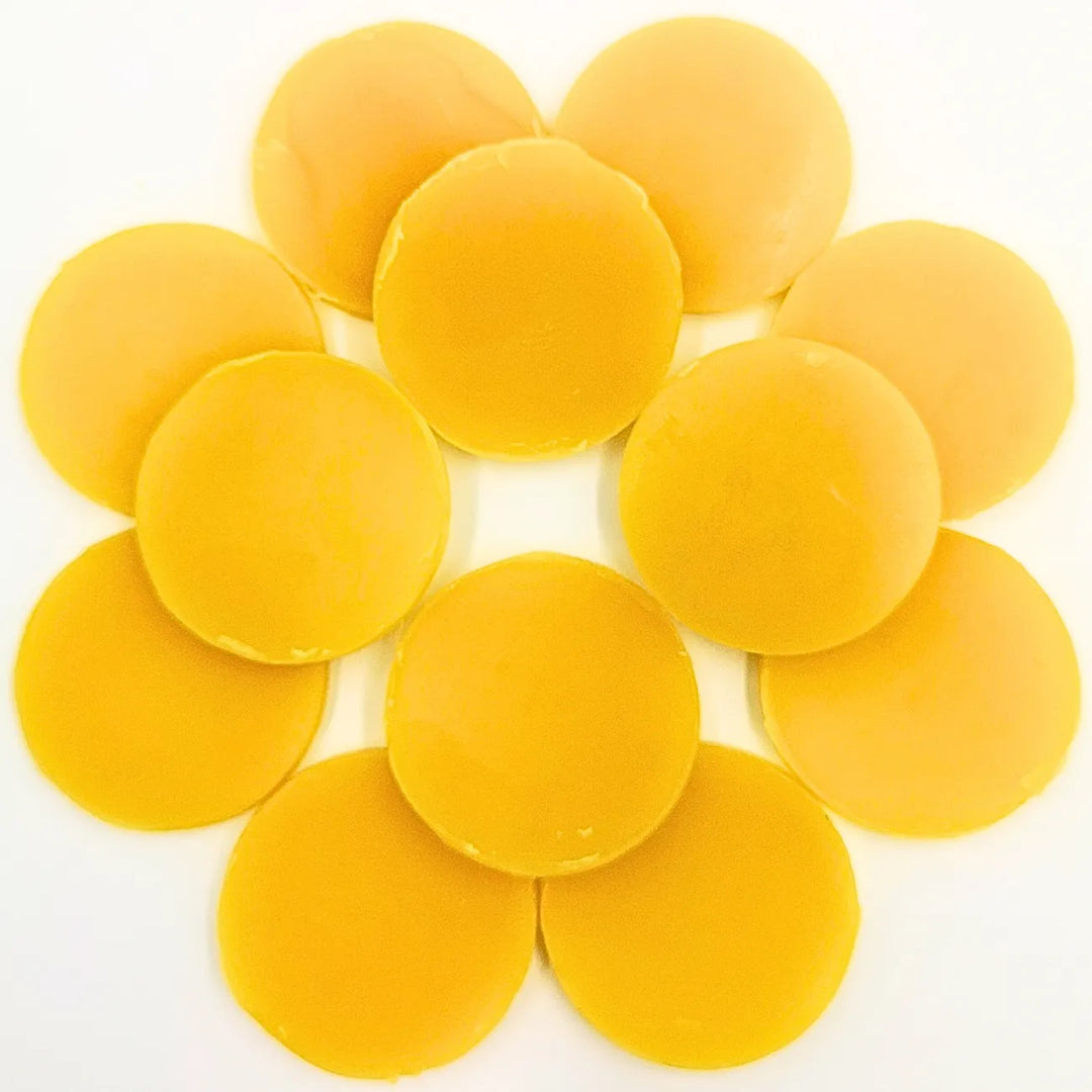 Grounding & Protection Wax Melt Gift Set – Natural Beeswax Aromatherapy Discs