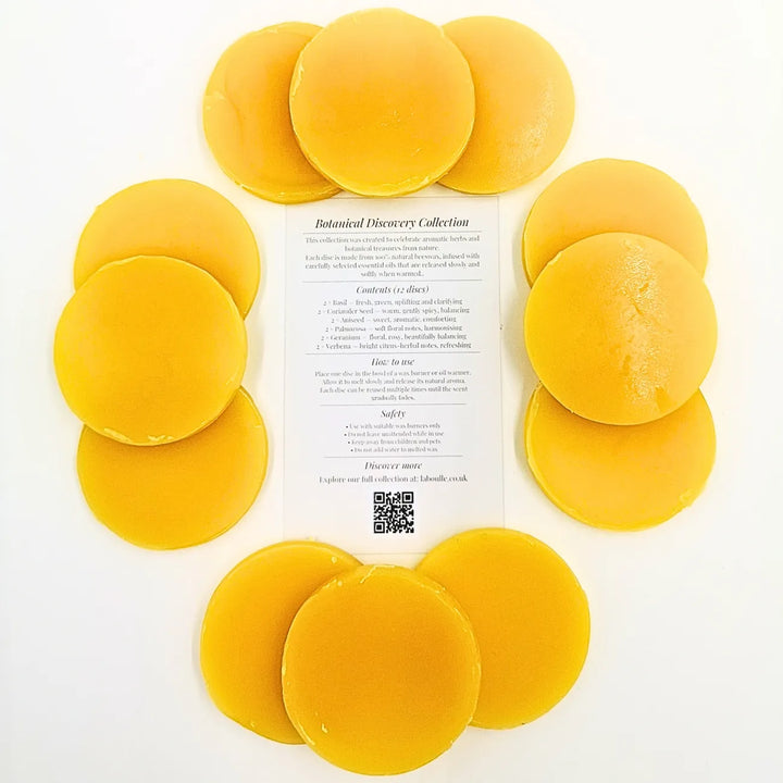 Botanical Discovery Wax Melt Gift Set – Natural Beeswax Aromatherapy Discs