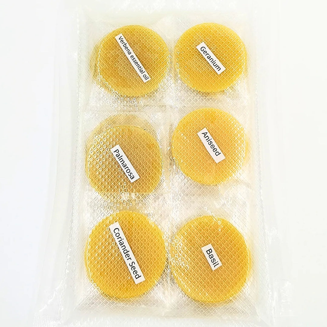 Botanical Discovery Wax Melt Gift Set – Natural Beeswax Aromatherapy Discs