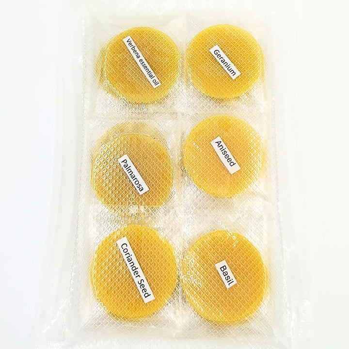 Botanical Discovery Wax Melt Gift Set – Natural Beeswax Aromatherapy Discs