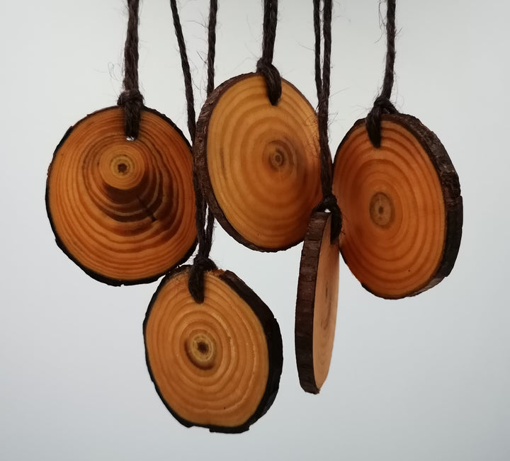 New Car Air Freshener – Crisp & Clean Scent